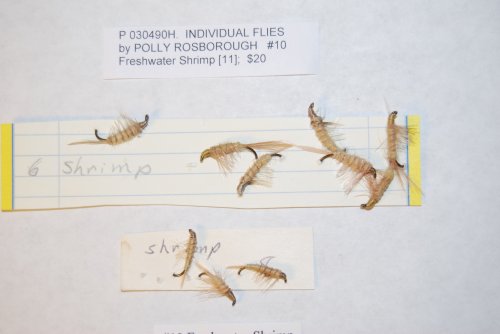 #10 & #8 Freshwater Shrimp.